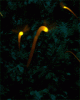 anim176220mobildesign.atw.hu_0492.gif